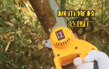 蘭龍锂电单手锯新品上市，最大可以切割直径20公分的树木！机身小巧，携带方便，高品质锂电池组大容量、高续航，大功率无刷电机输出强劲，切割伐木省时省力。