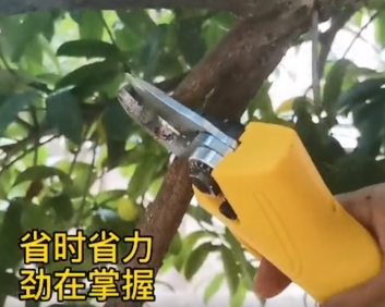 蘭龍锂电修枝剪新品上市！果农修整、嫁接的好帮手！
